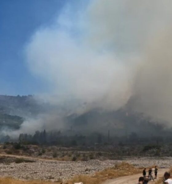 Αιγιάλεια, φωτιά Αιγιάλεια, πυρκαγιά, Αρραβωνίτσα, ποταμός Φοίνικας, Νίκος Καραΐσκος, Πολιτική Προστασία, Πυροσβεστική, αναζωπυρώσεις, ζημιές καλλιέργειες, ελαιώνες, αμπελώνες, δίκτυο άρδευσης, Aigialeia, Aigialeia fire, wildfire Greece, Arravonitsa, Phoinikas river, Nikos Karaiskos, Civil Protection, Fire Department, crop damage, olive groves, vineyards, irrigation network, Aigialeia fotia, kyrkagya, Arravonitsa fotia, potamos Phoinikas, zopies,