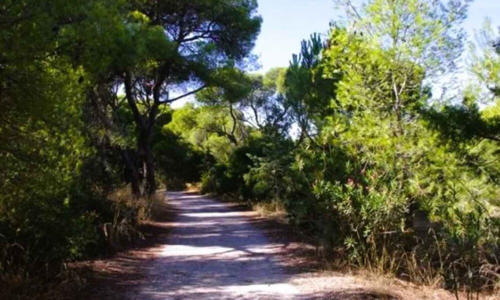 Άνω Καστρίτσι, Δήμος Πατρέων, Πάτρα, έργα οδοποιίας, βελτίωση δρόμων, Καρκαλός, Κακότραχος, αποκατάσταση δρόμων, οδικό δίκτυο, έκτακτη ανάγκη, πυρκαγιά, χρηματοδότηση, 490000 ευρώ, απευθείας διαπραγμάτευση, τεχνική μελέτη, δημοτικά έργα, Αχαΐα, Ano Kastritsi, Patras Municipality, Patra, road works, road improvement, Karkalos, Kakotrachos, road restoration, road network, emergency state, fire damage, funding, 490000 euros, municipal projects, Achaia, Ano Kastritsi, Dimos Patreon, Patra, erga odopoiias, veltiosi dromon, Karkalos, Kakotrachos, apokatastasi dromon, odiko diktyo, ektakti anagki, pyrkayia, chrimatodotisi, municipal erga, Achaia,
