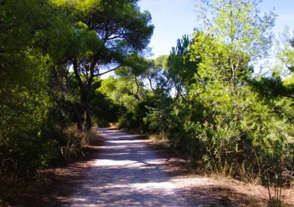 Άνω Καστρίτσι, Δήμος Πατρέων, Πάτρα, έργα οδοποιίας, βελτίωση δρόμων, Καρκαλός, Κακότραχος, αποκατάσταση δρόμων, οδικό δίκτυο, έκτακτη ανάγκη, πυρκαγιά, χρηματοδότηση, 490000 ευρώ, απευθείας διαπραγμάτευση, τεχνική μελέτη, δημοτικά έργα, Αχαΐα, Ano Kastritsi, Patras Municipality, Patra, road works, road improvement, Karkalos, Kakotrachos, road restoration, road network, emergency state, fire damage, funding, 490000 euros, municipal projects, Achaia, Ano Kastritsi, Dimos Patreon, Patra, erga odopoiias, veltiosi dromon, Karkalos, Kakotrachos, apokatastasi dromon, odiko diktyo, ektakti anagki, pyrkayia, chrimatodotisi, municipal erga, Achaia,