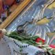 φιδάκια της Παναγίας, Κεφαλονιά, Μαρκόπουλο, Αργίνια, Δεκαπενταύγουστος, αγιώφιδο, Παναγία Φιδούσα, Παναγία Λαγγουβάρδα, Telescopus fallax, ερπετολογία, θρησκευτικό έθιμο, Holy Snakes of Kefalonia, Kefalonia snakes, Virgin Mary snakes, Markopoulou, Arginia, Cat snake, European cat snake, Greece religious customs, snakes of Mary, fidakia tis Panagias, Kefalonia, agiofido, Panagia Fidousa, Langouvarda, Dekapentavgoustos,