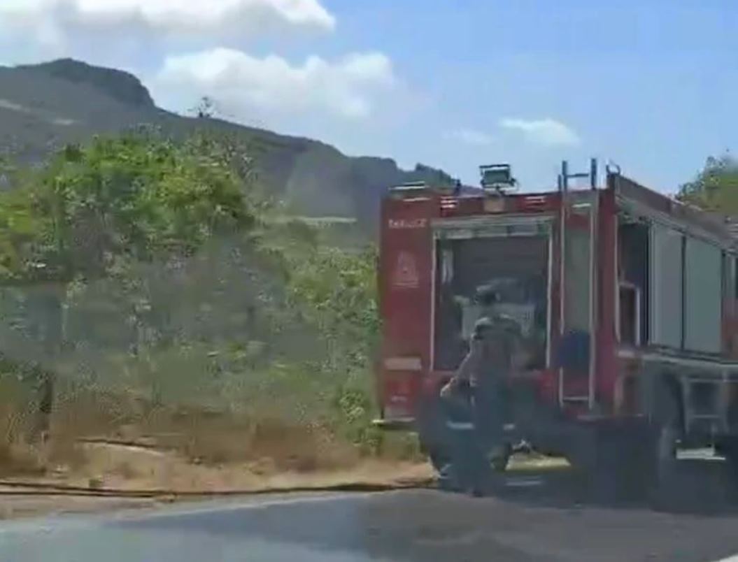 φωτιά Πάτρα, πυρκαγιά Μιντιλόγλι, Άνω Καλλιθέα, Πυροσβεστική Πατρών, κατάσβεση φωτιάς, αγροτική πυρκαγιά, Καλογριά, έκτακτη επικαιρότητα Πάτρα, Patra fire, Mindilogli fire, Ano Kallithea, Patras Fire Department, Greece fire, emergency Patras,