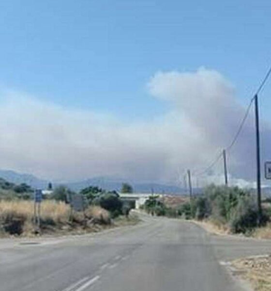 Πάτρα, φωτιά, πυρκαγιά, Αίγιο, Φωκίδα, Ναύπακτος, καπνός, αποπνικτική ατμόσφαιρα, Πατραϊκός Κόλπος, Πυροσβεστική, έκτακτη επικαιρότητα, πολιτική προστασία, Patras, wildfire, fire, Aigio, Phokis, Nafpaktos, smoke, Patraikos Gulf, emergency news, Greece fires,