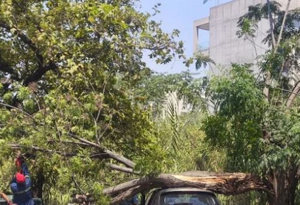 Πάτρα, Έξω Αγυιά, κακοκαιρία, ισχυροί άνεμοι, πτώση δέντρου, Πυροσβεστική, Μείλιχος, υλικές ζημιές, 409 Στρατιωτικό Νοσοκομείο, έκτακτα καιρικά φαινόμενα, Patras, Exo Egyia, severe weather, strong winds, fallen tree, Fire Department, Meilichos, material damage, emergency news, Greece,