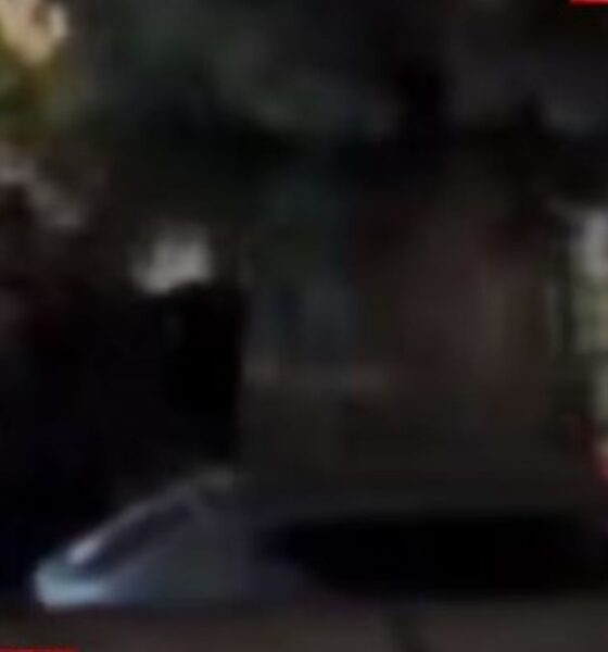 βία ανηλίκων, άγριο ξύλο, επεισόδιο ανηλίκων, βίντεο ντοκουμέντο, συμπλοκή, νεανική παραβατικότητα, youth violence, juvenile delinquency, brawling teens, violent video, teen fight, via anilikon, agrio xylo, vinteo ntokoumento, symploki, neaniki paravatikotita,