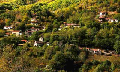 μετεγκατάσταση στην περιφέρεια, επιδότηση μετεγκατάστασης, πρόγραμμα μετεγκατάστασης 10000 ευρώ, ενίσχυση μόνιμης κατοικίας, επιδότηση μετακόμισης, περιφερειακές ενότητες, relocation scheme greece, relocation grant greece, rural relocation incentive, 10000 euros relocation grant, metegkatastasi, epidotisi metegkatastasis, relocation vouchers gov gr,