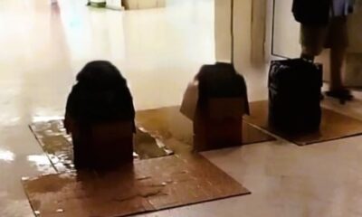 νοσοκομεία Πάτρα, Άγιος Ανδρέας Πάτρα, νοσοκομείο Ρίου, πλημμύρα νοσοκομείο, εισροή υδάτων, εκκένωση νοσοκομείου, κτιριακά προβλήματα νοσοκομείων, ΕΣΥ προβλήματα, Patras hospitals, Agios Andreas hospital, Rio hospital Patras, hospital flooding, water leak hospital, Greece hospital news, nosokomeio Patra, nosokomeio Riou, Agios Andreas nosokomeio, plimmyra nosokomeio, ESY patra,