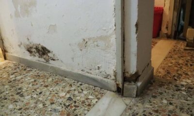 9ο νηπιαγωγείο Πατρών, Πάτρα, κατσαρίδες, απεντόμωση, σχολείο, καταγγελία γονέων, Ζαρουχλέικα, ακατάλληλα σχολεία, 9th kindergarten Patras, Patra, cockroaches, pest control, school, parents complaint, Zarouchleika, unsuitable schools, 9o nipiagogeio patron, patra, katsarides, apentomosi, sxoleio, kataggelia goneon, zarouxleika, akatallila sxoleia,