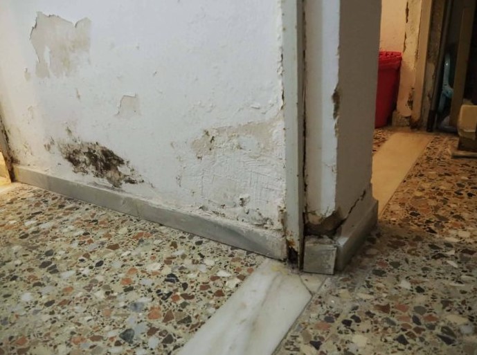 9ο νηπιαγωγείο Πατρών, Πάτρα, κατσαρίδες, απεντόμωση, σχολείο, καταγγελία γονέων, Ζαρουχλέικα, ακατάλληλα σχολεία, 9th kindergarten Patras, Patra, cockroaches, pest control, school, parents complaint, Zarouchleika, unsuitable schools, 9o nipiagogeio patron, patra, katsarides, apentomosi, sxoleio, kataggelia goneon, zarouxleika, akatallila sxoleia,