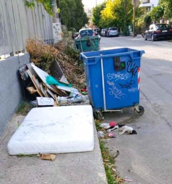 Πάτρα, Προσφυγικά, Άγιος Νεκτάριος, οδός Μαυροβουνίου, δημοτικό σχολείο, καθαριότητα, σκουπίδια, απορρίμματα, πτώμα ζώου, υγειονομική βόμβα, δημόσια υγεία, καταγγελίες γονέων, Δήμος Πατρέων, Patra, Patras, Prosfygika, Agios Nektarios, Mavrovouniou street, primary school, elementary school, garbage, trash, dead animal, public health, waste management, Patra garbage, Patras news, Patra skoliti, soroi aporrimmaton, ptoma zooy, kathariotita Patra,