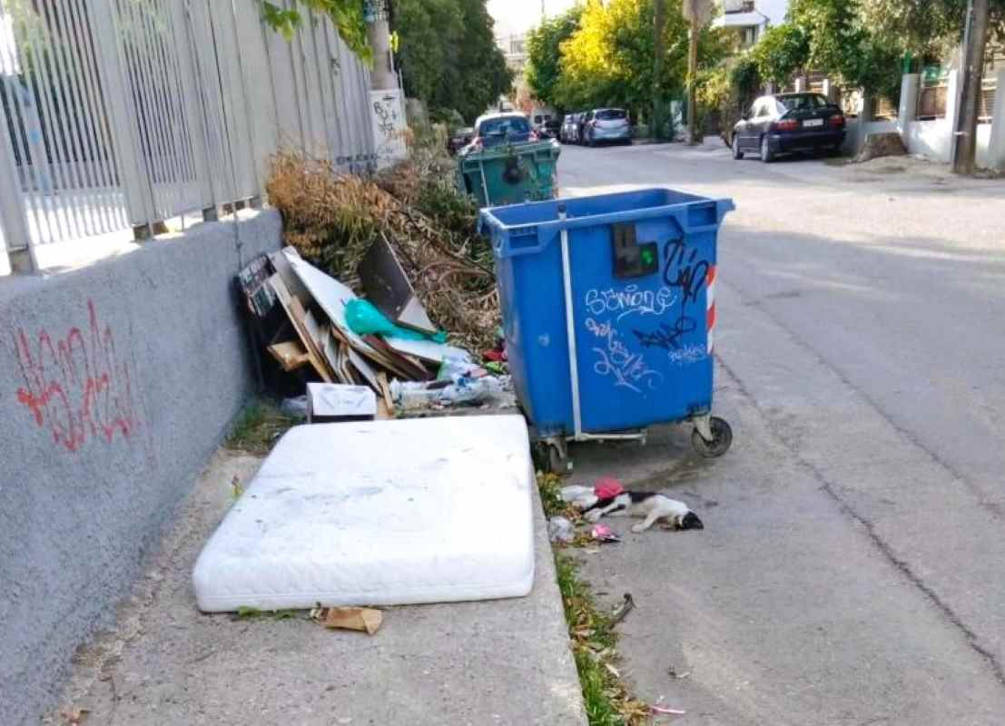 Πάτρα, Προσφυγικά, Άγιος Νεκτάριος, οδός Μαυροβουνίου, δημοτικό σχολείο, καθαριότητα, σκουπίδια, απορρίμματα, πτώμα ζώου, υγειονομική βόμβα, δημόσια υγεία, καταγγελίες γονέων, Δήμος Πατρέων, Patra, Patras, Prosfygika, Agios Nektarios, Mavrovouniou street, primary school, elementary school, garbage, trash, dead animal, public health, waste management, Patra garbage, Patras news, Patra skoliti, soroi aporrimmaton, ptoma zooy, kathariotita Patra,