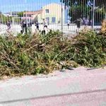 Πάτρα, 55ο Δημοτικό Σχολείο Πάτρας, 32ο Νηπιαγωγείο Πάτρας, ξερόκλαδα, κλαδιά, πεζοδρόμιο, ασφάλεια μαθητών, σχολείο, καταγγελία, προσβασιμότητα, Patra, Patras, 55th primary school Patras, 32nd kindergarten Patras, dry branches, tree branches, sidewalk, student safety, school, complaint, accessibility, public safety, xeroklada, kladia, pezodromio, asfaleia mathiton, scholeio, kataggelia, prosvasimotita,