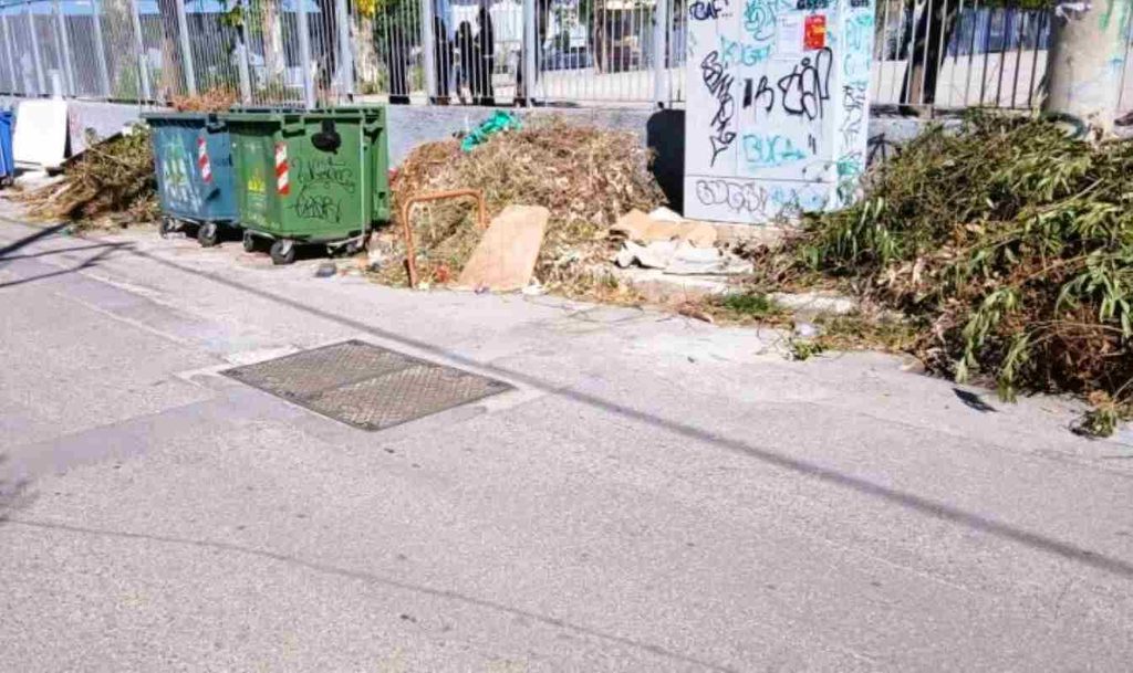 Πάτρα, 55ο Δημοτικό Σχολείο Πάτρας, 32ο Νηπιαγωγείο Πάτρας, ξερόκλαδα, κλαδιά, πεζοδρόμιο, ασφάλεια μαθητών, σχολείο, καταγγελία, προσβασιμότητα, Patra, Patras, 55th primary school Patras, 32nd kindergarten Patras, dry branches, tree branches, sidewalk, student safety, school, complaint, accessibility, public safety, xeroklada, kladia, pezodromio, asfaleia mathiton, scholeio, kataggelia, prosvasimotita,