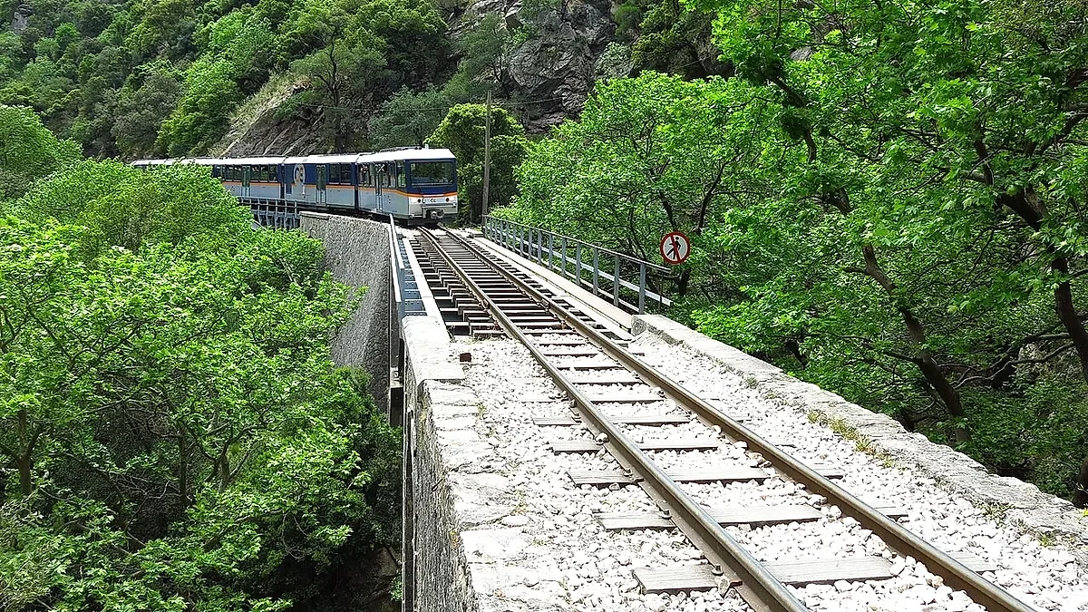 Συρμός τρένου κινείται σε γεφύρι πάνω από σιδηροδρομική γραμμή σε ορεινή δασική περιοχή