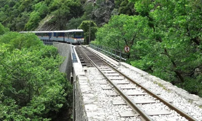 Αμαξοστοιχία κινείται σε σιδηροδρομική γέφυρα ανάμεσα σε δέντρα και βλάστηση.