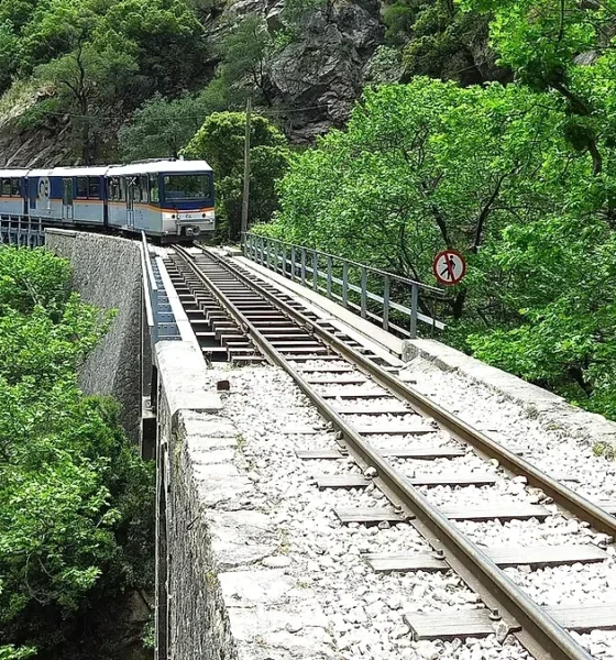 Αμαξοστοιχία κινείται σε σιδηροδρομική γέφυρα ανάμεσα σε δέντρα και βλάστηση.