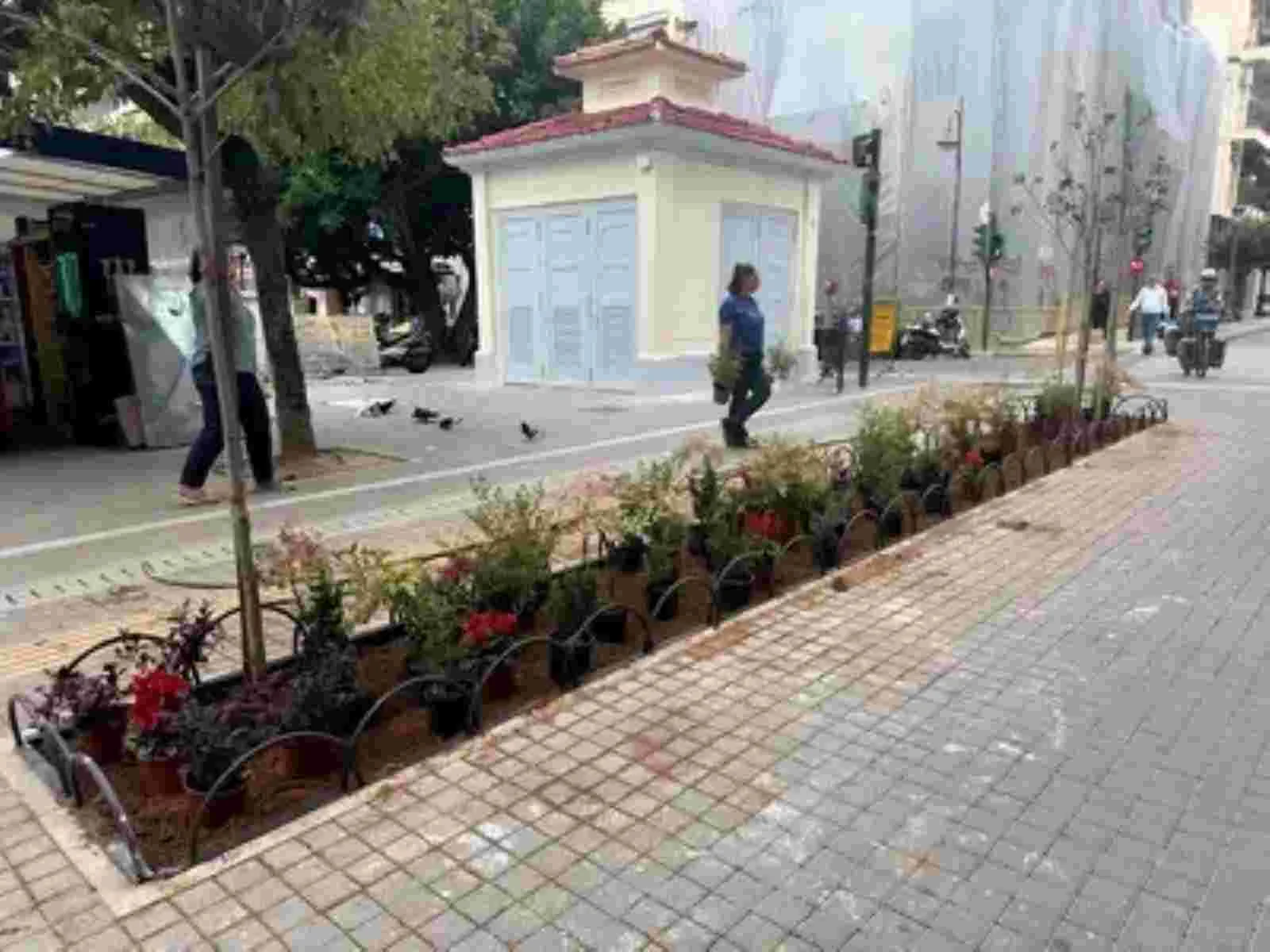 Πεζόδρομος με πλακόστρωτο, παρτέρια με φυτά, μικρό κτίριο στο βάθος και περαστικοί.