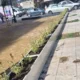 Πεζοδρόμιο με μακρόστενη ζαρντινιέρα και φυτά, δίπλα σε δρόμο με παρκαρισμένα αυτοκίνητα