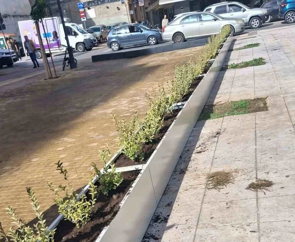Πεζοδρόμιο με μακρόστενη ζαρντινιέρα και φυτά, δίπλα σε δρόμο με παρκαρισμένα αυτοκίνητα