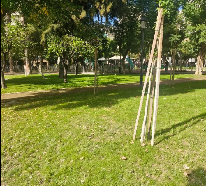 plateia-olgas-patra-anakainismeni