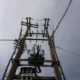 Ξύλινες κολώνες μεταφοράς ηλεκτρικού ρεύματος με καλώδια και μετασχηματιστή σε εξωτερικό χώρο.