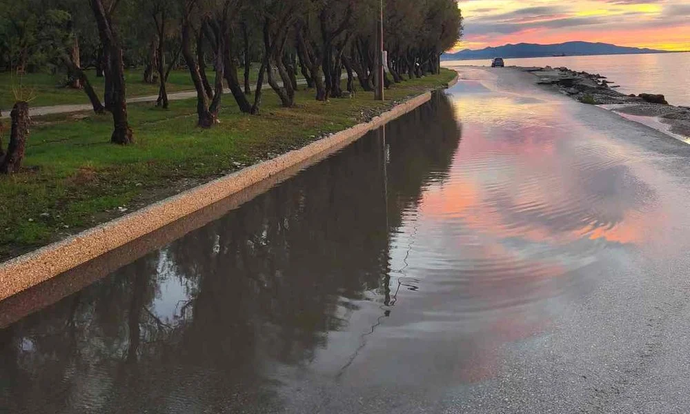 Πλημμυρισμένος παραλιακός δρόμος δίπλα σε θάλασσα και δέντρα, με νερά στο οδόστρωμα και ουρανό στο βάθος