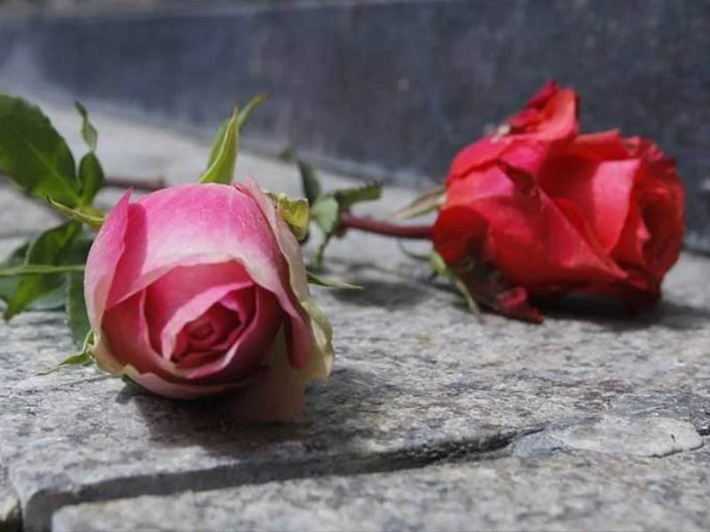 Δύο τριαντάφυλλα, ένα ροζ και ένα κόκκινο, τοποθετημένα σε πέτρινη επιφάνεια