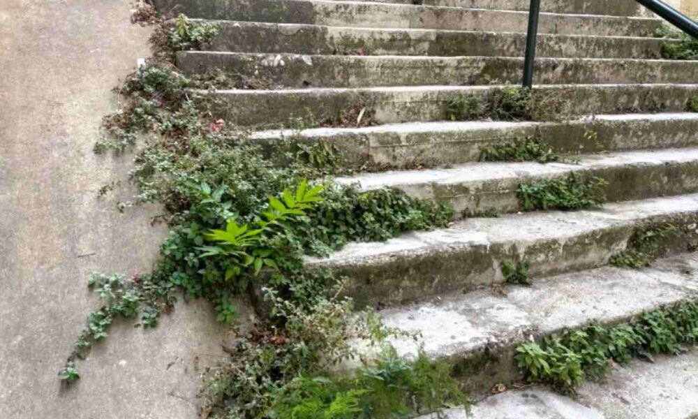 Σκάλες Βαλτετσίου Πάτρα, καθαριότητα Πάτρα, Δήμος Πατρέων, συντήρηση υποδομών, οδός Βαλτετσίου, Αρσάκειο Πάτρα, εγκατάλειψη δημόσιου χώρου, παράπονα κατοίκων Πάτρα,skales Valtetsiou Patra, kathariotita Patra, Dimos Patreon, syntirisi ypodomon, odos Valtetsiou, Arsakeio Patra, egkataleipsi dimosiou chorou, parapona katoikon Patra, Valtetsiou stairs Patras, Patras city maintenance, Patras municipality, Valtetsiou street Patras, public space upkeep Patras, Patras complaints,