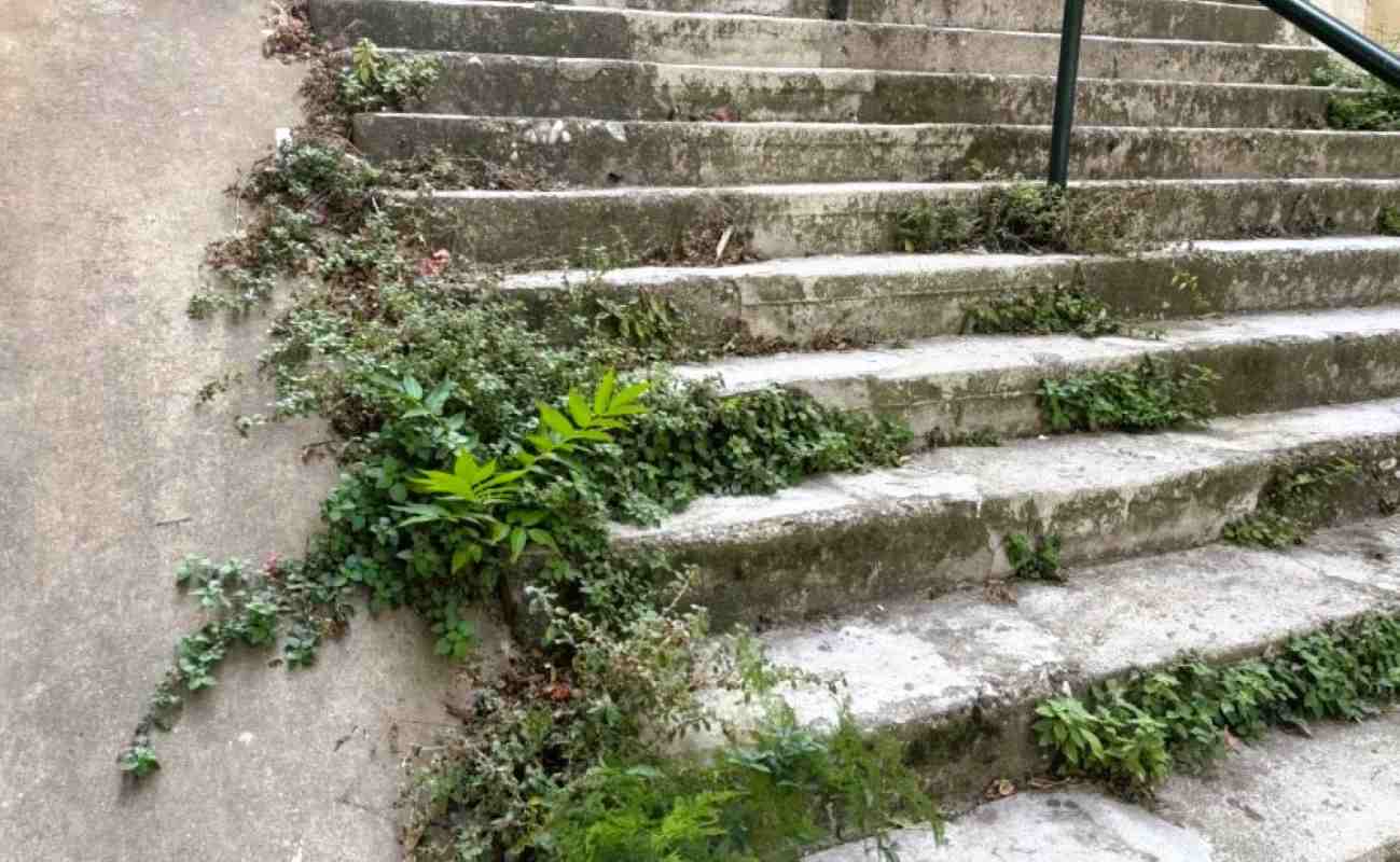Σκάλες Βαλτετσίου Πάτρα, καθαριότητα Πάτρα, Δήμος Πατρέων, συντήρηση υποδομών, οδός Βαλτετσίου, Αρσάκειο Πάτρα, εγκατάλειψη δημόσιου χώρου, παράπονα κατοίκων Πάτρα,skales Valtetsiou Patra, kathariotita Patra, Dimos Patreon, syntirisi ypodomon, odos Valtetsiou, Arsakeio Patra, egkataleipsi dimosiou chorou, parapona katoikon Patra, Valtetsiou stairs Patras, Patras city maintenance, Patras municipality, Valtetsiou street Patras, public space upkeep Patras, Patras complaints,
